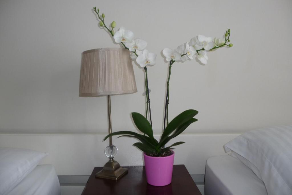 فندق كوركفي  Killarney House Western Road الغرفة الصورة